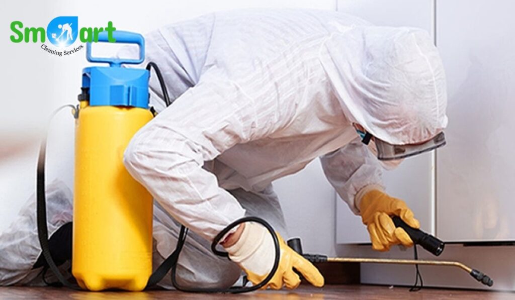 Best Fumigation Services in Islamabad & Rawalpindi