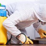 Best Fumigation Services in Islamabad & Rawalpindi