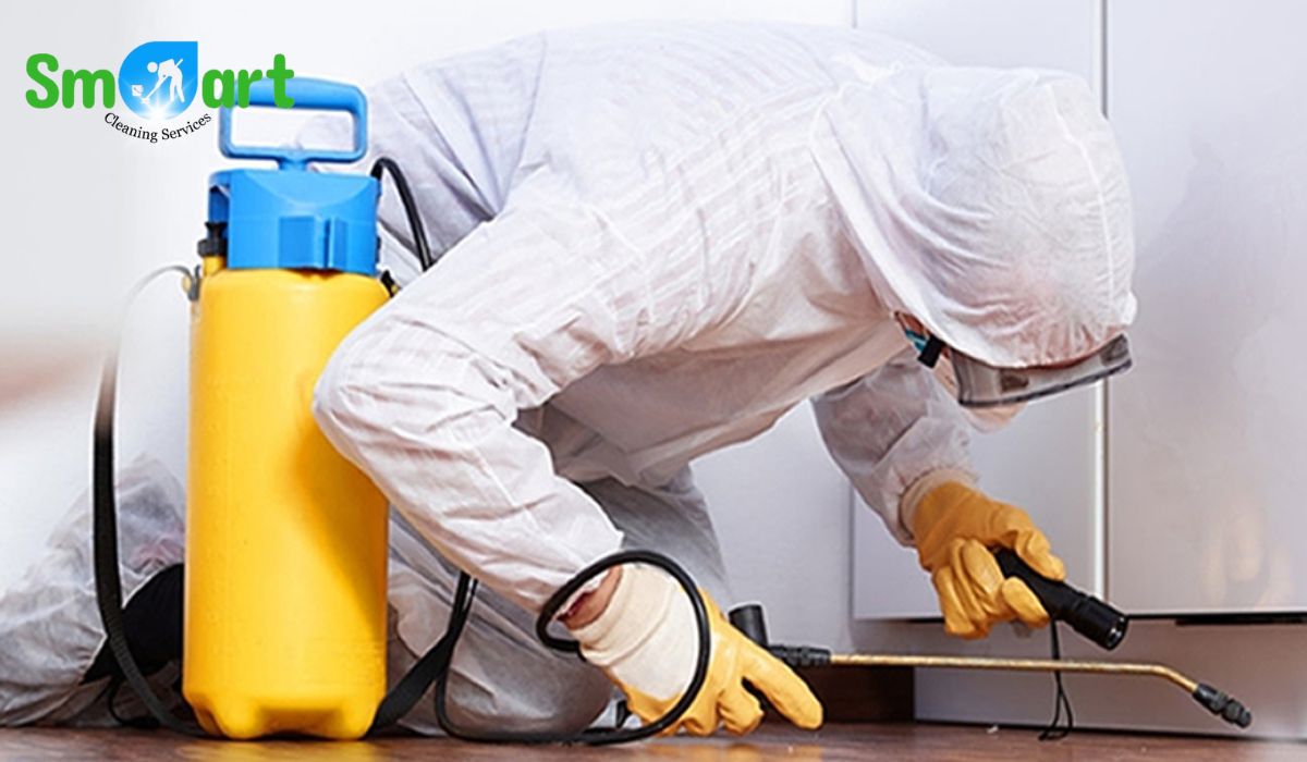 Best Fumigation Services in Islamabad & Rawalpindi