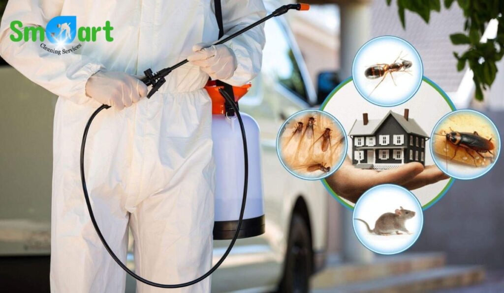 Best Pest Control Services in Islamabad & Rawalpindi