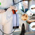 Best Pest Control Services in Islamabad & Rawalpindi